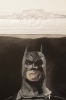 the world is bat (Detailansicht)