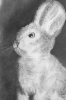 Serie: abgeliebt_Detail